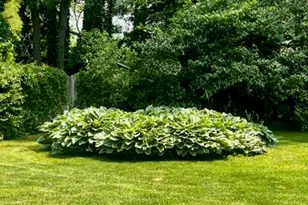 2416 Blanchard Dr, Niles, MI 49120 - Photo 43