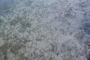 2628 E Shore Dr, Portage, MI 49002 - Photo 41