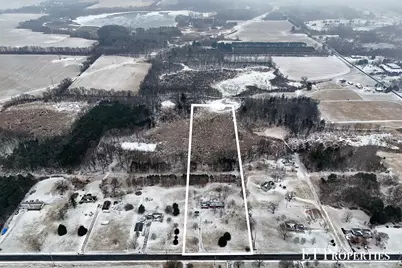 7291 County Farm Road, Greenville, MI 48838 - Photo 41