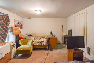 854 Braucker Rd, Union City, MI 49094 - Photo 23