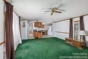 360 E Tuttle Rd, Ionia, MI 48846 - Photo 7