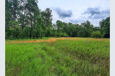 10836 30th Avenue, Evart, MI 49631 - Photo 39