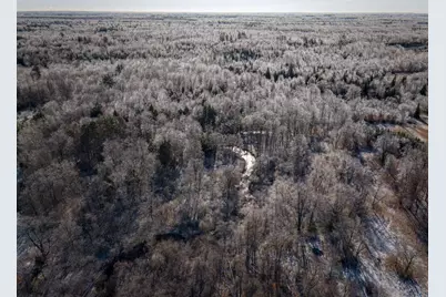 10836 30th Avenue, Evart, MI 49631 - Photo 29