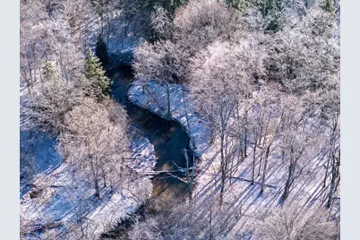 10836 30th Avenue, Evart, MI 49631 - Photo 5