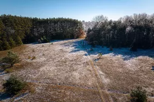 10836 30th Ave, Evart, MI 49631 - Photo 1