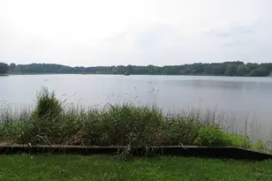 890 White Lake Rd, Pleasant Lake, MI 49272 - Photo 77