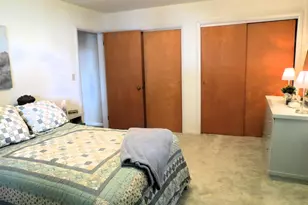 890 White Lake Rd, Pleasant Lake, MI 49272 - Photo 27