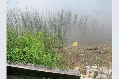 890 White Lake Road, Pleasant Lake, MI 49272 - Photo 75
