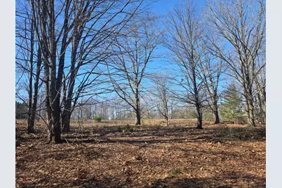 2 Mile Road, Evart, MI 49631 - Photo 11