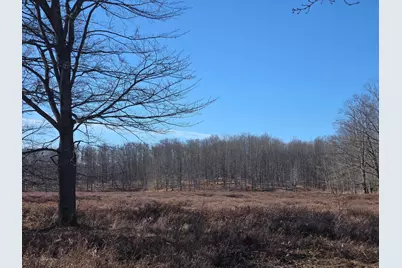 2 Mile Road, Evart, MI 49631 - Photo 7