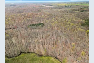 2 Mile Road, Evart, MI 49631 - Photo 9
