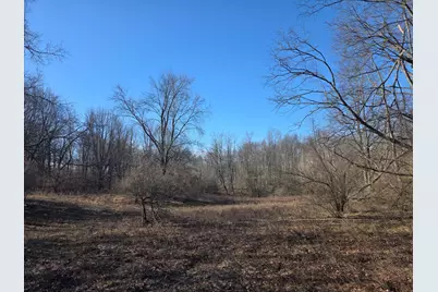 2 Mile Road, Evart, MI 49631 - Photo 13