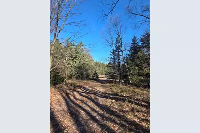 2 Mile Road, Evart, MI 49631 - Photo 11