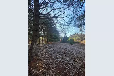 2 Mile Road, Evart, MI 49631 - Photo 17