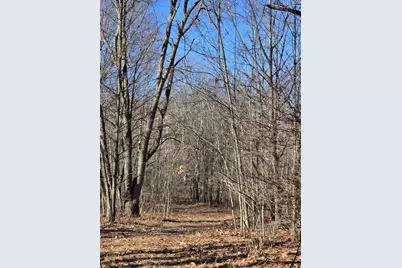 2 Mile Road, Evart, MI 49631 - Photo 21