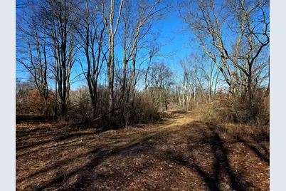 2 Mile Road, Evart, MI 49631 - Photo 13