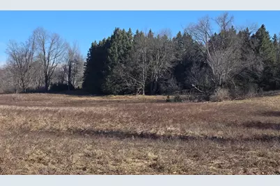 2 Mile Road, Evart, MI 49631 - Photo 5