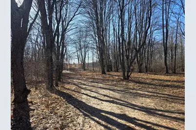 2 Mile Road, Evart, MI 49631 - Photo 3