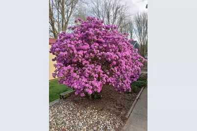 4453 Hicks Avenue, Benton Harbor, MI 49022 - Photo 7