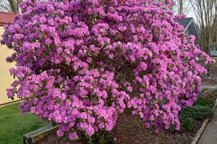 4453 Hicks Ave, Benton Harbor, MI 49022 - Photo 7