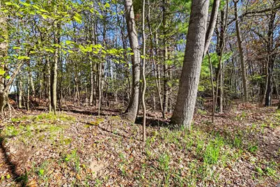 Lot 11 Silver Ridge Road, Mears, MI 49436 - Photo 3