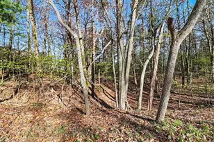 Lot 11 Silver Ridge Rd, Mears, MI 49436 - Photo 1