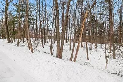 Lot 11 Silver Ridge Road, Mears, MI 49436 - Photo 13