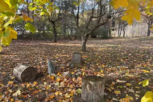 16300 McClure Ave NE, Sand Lake, MI 49343 - Photo 53