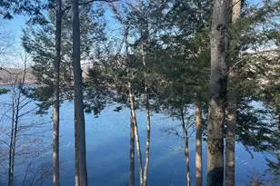 8770 N Island Dr, Canadian Lakes, MI 49346 - Photo 3