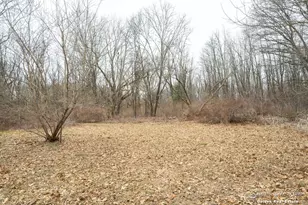 5856 kiddville Rd, Belding, MI 48809 - Photo 51