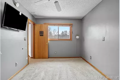 903 Cram Lane, Albion, MI 49224 - Photo 19