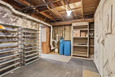 903 Cram Lane, Albion, MI 49224 - Photo 33