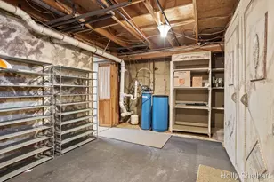 903 Cram Ln, Albion, MI 49224 - Photo 33