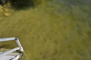 147 Dons Dr, Quincy, MI 49082 - Photo 13