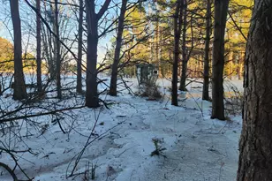 2600 S Scottville Rd, Scottville, MI 49454 - Photo 9