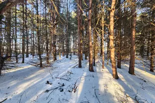 2600 S Scottville Rd, Scottville, MI 49454 - Photo 7