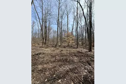 Vl Lake Drive, Allegan, MI 49010 - Photo 1