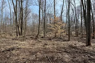 Vl Lake Dr, Allegan, MI 49010 - Photo 1