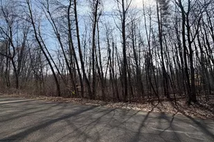 12952 Bowen Lake Dr NE, Gowen, MI 49326 - Photo 1