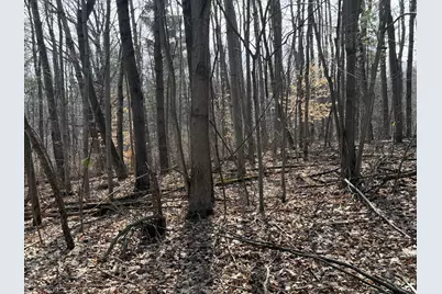 12952 Bowen Lake Drive NE, Gowen, MI 49326 - Photo 7