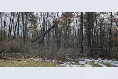 9960 Dagget Road, Howard City, MI 49329 - Photo 11