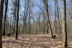 5243 S Basswood Dr, Newaygo, MI 49337 - Photo 1