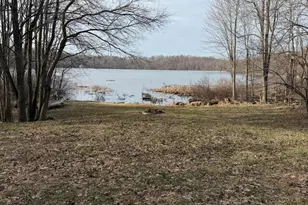 V/L 38th St, Gobles, MI 49055 - Photo 1