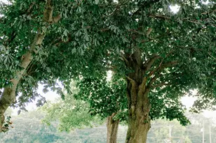 22835 US Hwy 12, Edwardsburg, MI 49112 - Photo 17