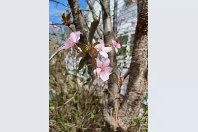 100 Westwood Street, Hillsdale, MI 49242 - Photo 15