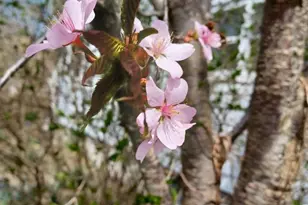 100 Westwood St, Hillsdale, MI 49242 - Photo 15