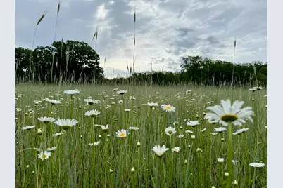 10652 N River Road #E, Irons, MI 49644 - Photo 5