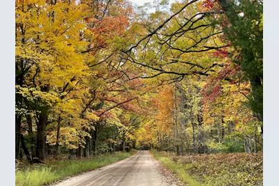 10652 N River Road #E, Irons, MI 49644 - Photo 3