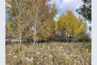 000 Vl N Cottonwood Avenue, Big Rapids, MI 49307 - Photo 15