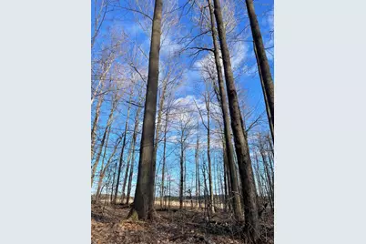 000 Vl N Cottonwood Avenue, Big Rapids, MI 49307 - Photo 21